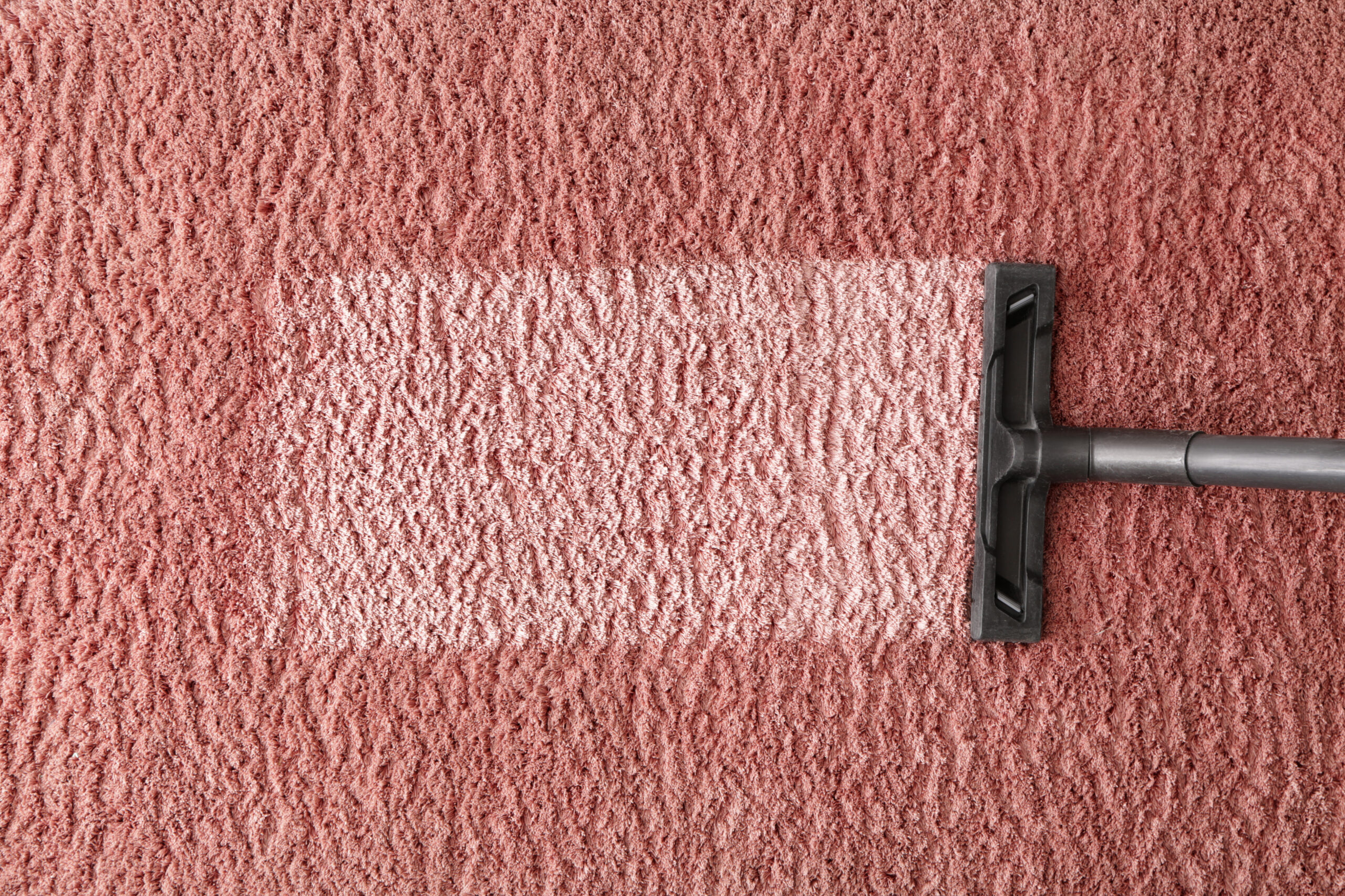 Hoovering of carpet with vacuum cleaner, top view